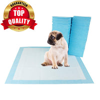 PetVogue Puppy Training Pee and Potty Pads with Quick Drying Surface and Absorbent Core, 40 Count, 24" x 24"