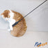 PetVogue Training Hunter Stick for Dogs - Dog Stick for Walk