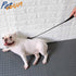 PetVogue Training Hunter Stick for Dogs - Dog Stick for Walk