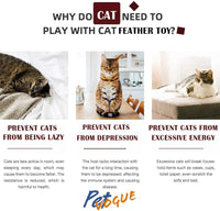 PetVogue Colorful Feather Teaser with Bell and Exerciser for Cat and Kitten - Cat Toy Interactive Cat Wand