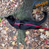 PetVogue Adjustable Cat Harness Leash Set Escape Proof - Vest Harness for Kitties Walking Outdoor - RED