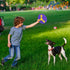 Dog Frisbee - PetVogue 2 in 1 Dog Toys Flying Disc with Removebale Boomerang