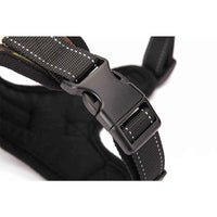 Dog Harness Easy to Put on Small Dog - Choke Free Adjustable Pet Vest No Pull  Sport Vest Harness Reflective Soft Padded Vest -Large(Colour May Vary)