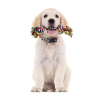 PetVogue Cotton Durable Dog Chew Rope Toy for Small Puppies