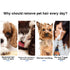 PetVogue Self Cleaning Brush for Dogs & Cats