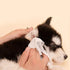 PetVogue Ear and Eye Cleaning Pet Wipes for Dogs & Cats - 160 Pcs