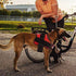 Dog Harness, No-Pull Reflective Breathable Adjustable Pet Vest with Handle for Outdoor Walking - Large(Colour May Vary)